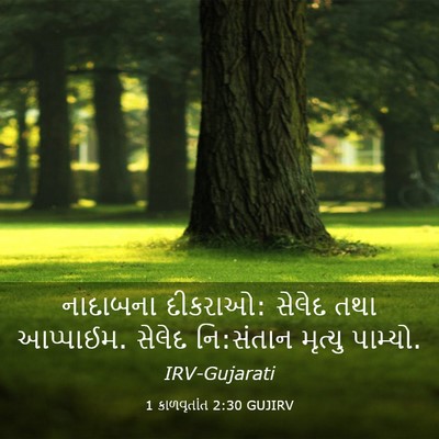 Picture 03 - 1 કાળવૃતાંત 2:30 GUJIRV - નાદાબના દીકરાઓ: - Bible Verse Picture