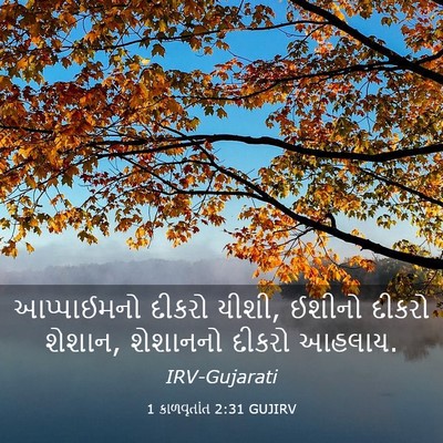 Picture 03 - 1 કાળવૃતાંત 2:31 GUJIRV - આપ્પાઈમનો દીકરો - Bible Verse Picture