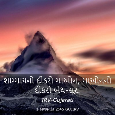 Picture 03 - 1 કાળવૃતાંત 2:45 GUJIRV - શામ્માયનો દીકરો - Bible Verse Picture