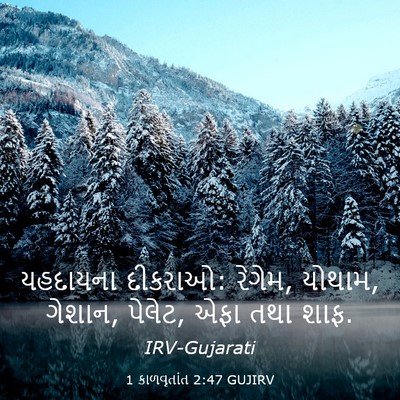 Picture 03 - 1 કાળવૃતાંત 2:47 GUJIRV - યહદાયના દીકરાઓ: - Bible Verse Picture