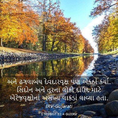 Picture 03 - 1 કાળવૃતાંત 22:4 GUJIRV - અને ઢગલાબંધ - Bible Verse Picture
