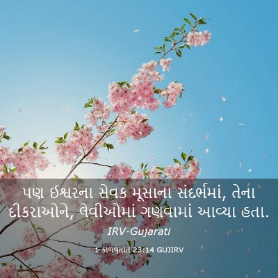 Picture 03 - 1 કાળવૃતાંત 23:14 GUJIRV - પણ ઈશ્વરના સેવક - Bible Verse Picture