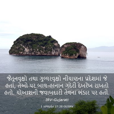 Picture 03 - 1 કાળવૃતાંત 27:28 GUJIRV - જૈતૂનવૃક્ષો તથા - Bible Verse Picture