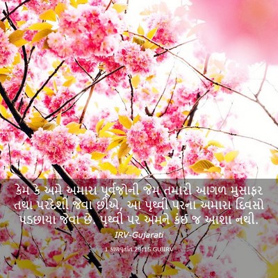 Picture 03 - 1 કાળવૃતાંત 29:15 GUJIRV - કેમ કે અમે અમારા - Bible Verse Picture