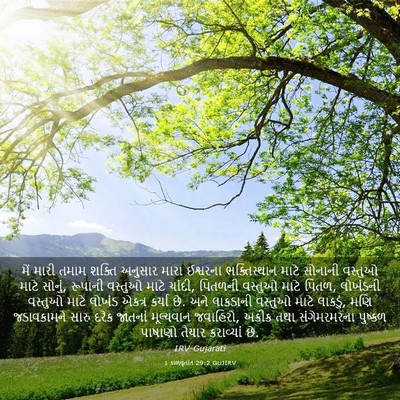 Picture 03 - 1 કાળવૃતાંત 29:2 GUJIRV - મેં મારી તમામ - Bible Verse Picture