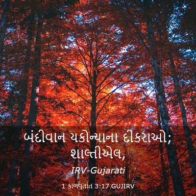 Picture 03 - 1 કાળવૃતાંત 3:17 GUJIRV - બંદીવાન યકોન્યાના - Bible Verse Picture