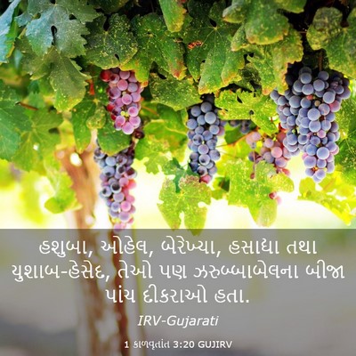 Picture 03 - 1 કાળવૃતાંત 3:20 GUJIRV - હશુબા, ઓહેલ, - Bible Verse Picture