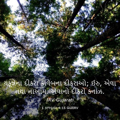 Picture 03 - 1 કાળવૃતાંત 4:15 GUJIRV - યફૂન્નેના દીકરા - Bible Verse Picture