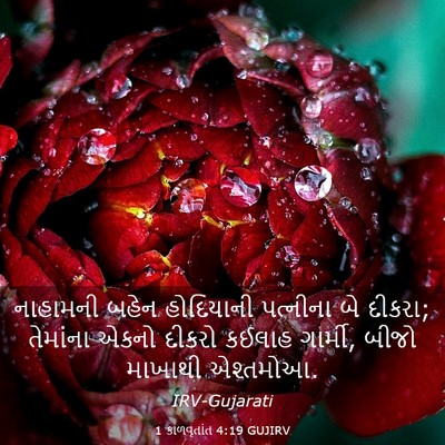 Picture 03 - 1 કાળવૃતાંત 4:19 GUJIRV - નાહામની બહેન - Bible Verse Picture