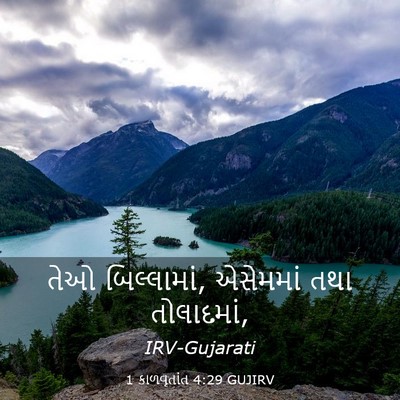 Picture 03 - 1 કાળવૃતાંત 4:29 GUJIRV - તેઓ બિલ્લામાં, - Bible Verse Picture
