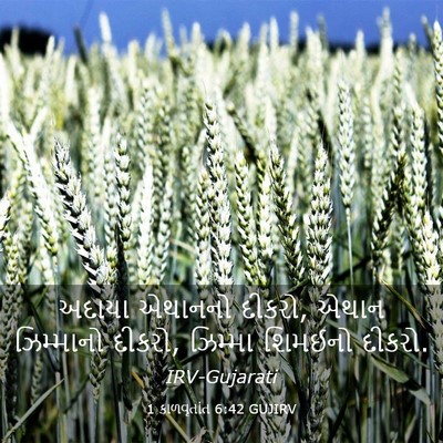 Picture 03 - 1 કાળવૃતાંત 6:42 GUJIRV - અદાયા એથાનનો - Bible Verse Picture