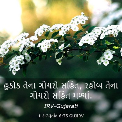 Picture 03 - 1 કાળવૃતાંત 6:75 GUJIRV - હુકોક તેના ગોચરો - Bible Verse Picture