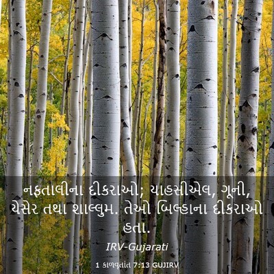 Picture 03 - 1 કાળવૃતાંત 7:13 GUJIRV - નફતાલીના દીકરાઓ; - Bible Verse Picture