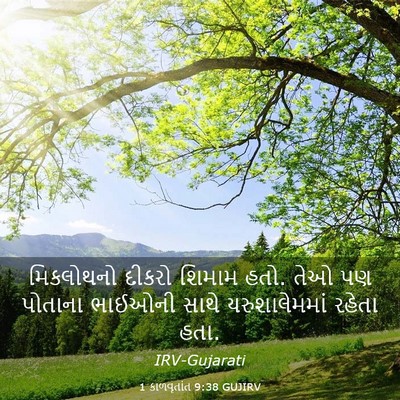 Picture 03 - 1 કાળવૃતાંત 9:38 GUJIRV - મિકલોથનો દીકરો - Bible Verse Picture