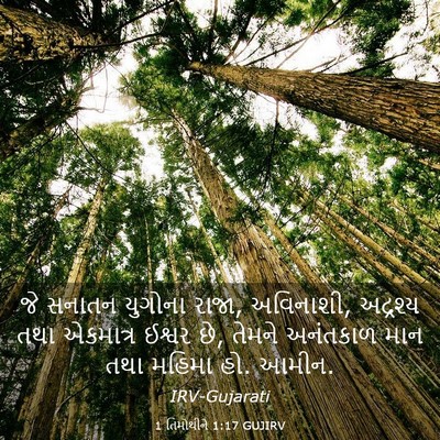 Picture 03 - 1 તિમોથીને 1:17 GUJIRV - જે સનાતન યુગોના - Bible Verse Picture