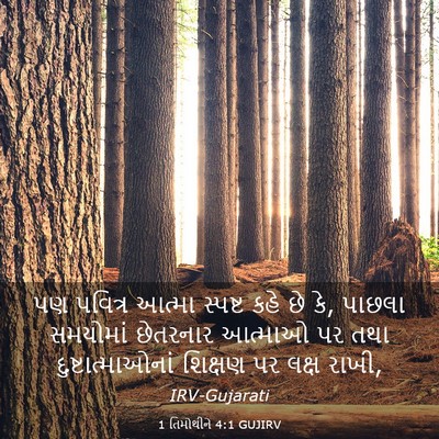 Picture 03 - 1 તિમોથીને 4:1 GUJIRV - પણ પવિત્ર આત્મા - Bible Verse Picture