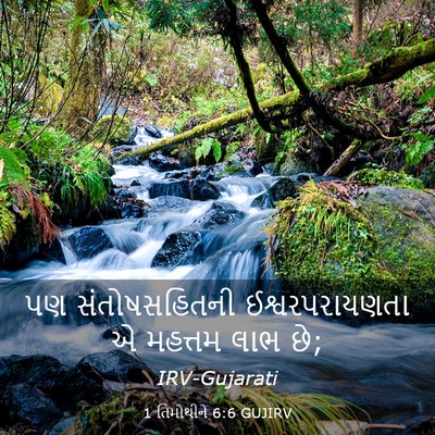 Picture 03 - 1 તિમોથીને 6:6 GUJIRV - પણ સંતોષસહિતની - Bible Verse Picture