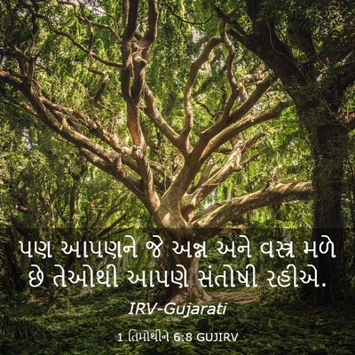 Picture 03 - 1 તિમોથીને 6:8 GUJIRV - પણ આપણને જે અન્ન - Bible Verse Picture