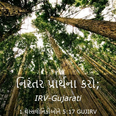 Picture 03 - 1 થેસ્સલોનિકીઓને 5:17 GUJIRV - નિરંતર પ્રાર્થના - Bible Verse Picture