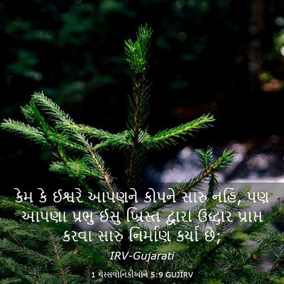 Picture 03 - 1 થેસ્સલોનિકીઓને 5:9 GUJIRV - કેમ કે ઈશ્વરે - Bible Verse Picture