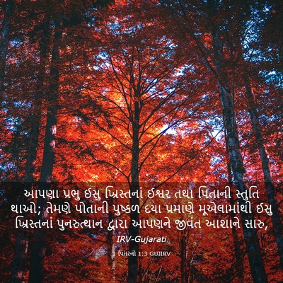Picture 03 - 1 પિતરનો 1:3 GUJIRV - આપણા પ્રભુ ઈસુ - Bible Verse Picture