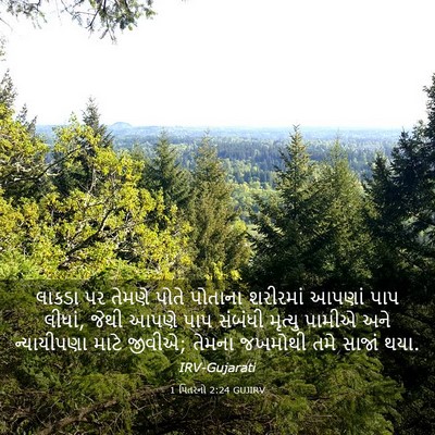 Picture 03 - 1 પિતરનો 2:24 GUJIRV - લાકડા પર તેમણે - Bible Verse Picture
