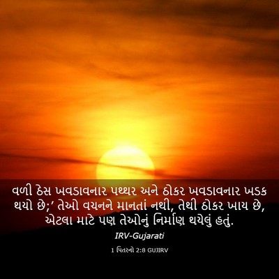 Picture 03 - 1 પિતરનો 2:8 GUJIRV - વળી ઠેસ ખવડાવનાર - Bible Verse Picture