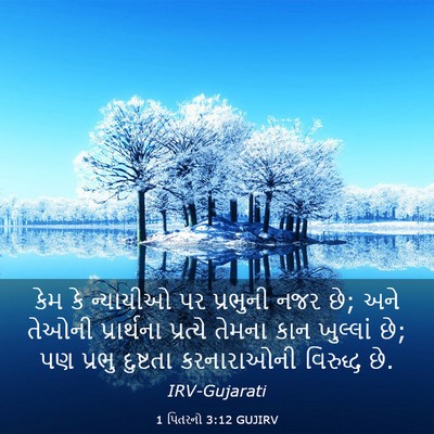 Picture 03 - 1 પિતરનો 3:12 GUJIRV - કેમ કે ન્યાયીઓ પર - Bible Verse Picture