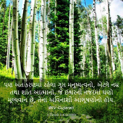 Picture 03 - 1 પિતરનો 3:4 GUJIRV - પણ અંતઃકરણમાં - Bible Verse Picture