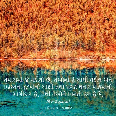 Picture 03 - 1 પિતરનો 5:1 GUJIRV - તમારામાં જે વડીલો - Bible Verse Picture