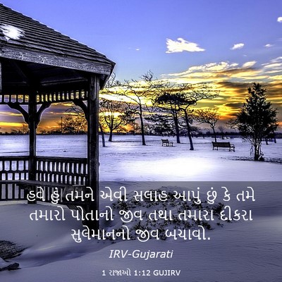 Picture 03 - 1 રાજાઓ 1:12 GUJIRV - હવે હું તમને એવી - Bible Verse Picture