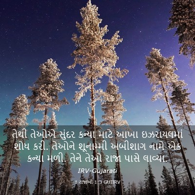Picture 03 - 1 રાજાઓ 1:3 GUJIRV - તેથી તેઓએ સુંદર - Bible Verse Picture