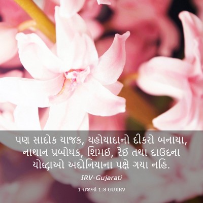 Picture 03 - 1 રાજાઓ 1:8 GUJIRV - પણ સાદોક યાજક, - Bible Verse Picture
