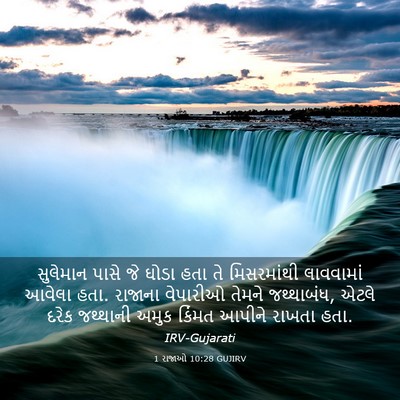 Picture 03 - 1 રાજાઓ 10:28 GUJIRV - સુલેમાન પાસે જે - Bible Verse Picture