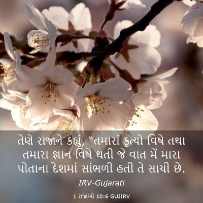 Picture 03 - 1 રાજાઓ 10:6 GUJIRV - તેણે રાજાને - Bible Verse Picture