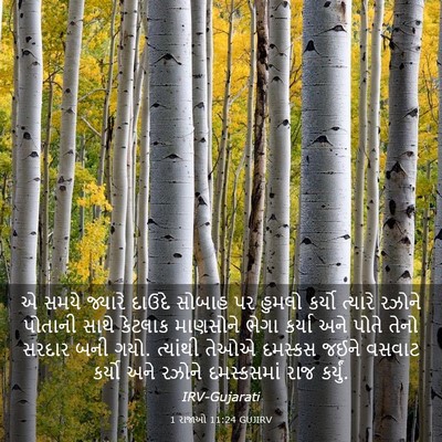 Picture 03 - 1 રાજાઓ 11:24 GUJIRV - એ સમયે જ્યારે - Bible Verse Picture