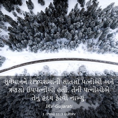 Picture 03 - 1 રાજાઓ 11:3 GUJIRV - સુલેમાનને - Bible Verse Picture