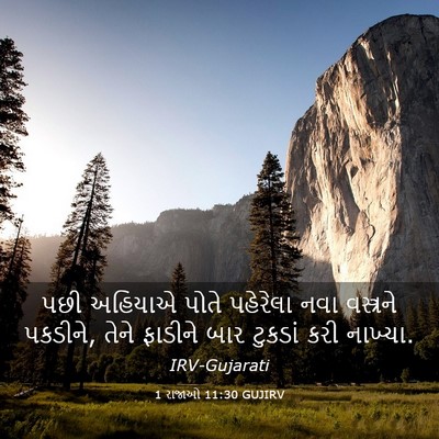 Picture 03 - 1 રાજાઓ 11:30 GUJIRV - પછી અહિયાએ પોતે - Bible Verse Picture