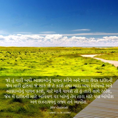 Picture 03 - 1 રાજાઓ 11:38 GUJIRV - જો તું મારી બધી - Bible Verse Picture