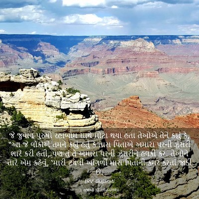 Picture 03 - 1 રાજાઓ 12:10 GUJIRV - જે જુવાન પુરુષો - Bible Verse Picture