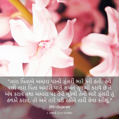Picture 03 - 1 રાજાઓ 12:4 GUJIRV - “તારા પિતાએ અમારા - Bible Verse Picture