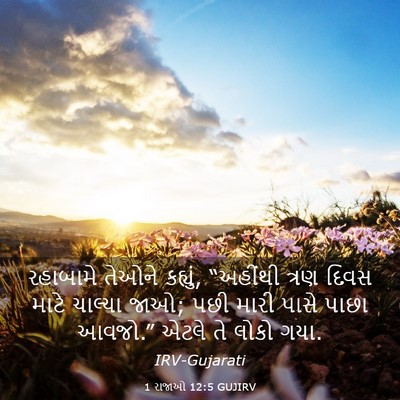 Picture 03 - 1 રાજાઓ 12:5 GUJIRV - રહાબામે તેઓને - Bible Verse Picture