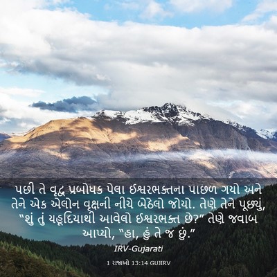 Picture 03 - 1 રાજાઓ 13:14 GUJIRV - પછી તે વૃદ્વ - Bible Verse Picture