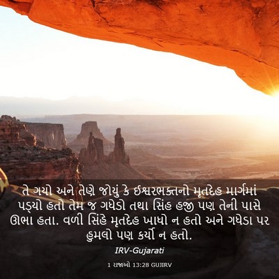 Picture 03 - 1 રાજાઓ 13:28 GUJIRV - તે ગયો અને તેણે - Bible Verse Picture