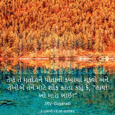 Picture 03 - 1 રાજાઓ 13:30 GUJIRV - તેણે તે મૃતદેહને - Bible Verse Picture