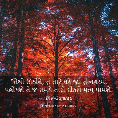 Picture 03 - 1 રાજાઓ 14:12 GUJIRV - “તેથી ઊઠીને, તું - Bible Verse Picture