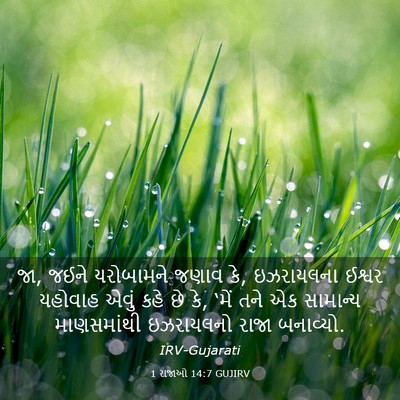 Picture 03 - 1 રાજાઓ 14:7 GUJIRV - જા, જઈને યરોબામને - Bible Verse Picture