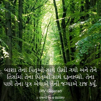 Picture 03 - 1 રાજાઓ 16:6 GUJIRV - બાશા તેના પિતૃઓ - Bible Verse Picture
