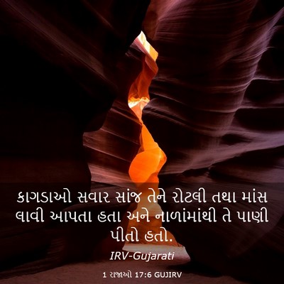Picture 03 - 1 રાજાઓ 17:6 GUJIRV - કાગડાઓ સવાર સાંજ - Bible Verse Picture