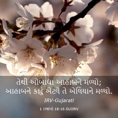 Picture 03 - 1 રાજાઓ 18:16 GUJIRV - તેથી ઓબાદ્યા - Bible Verse Picture
